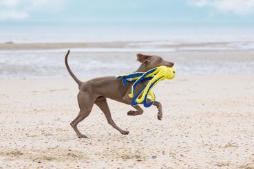 Preview: Oktopus - verschiedene Farben - 56 cm lang